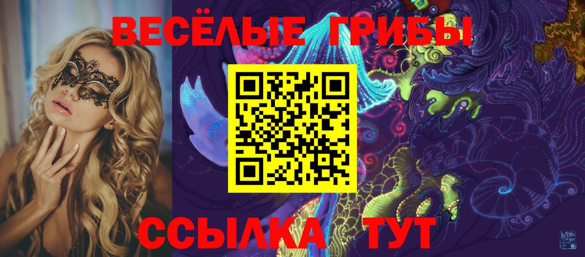 Галлюциногенные грибы мухоморы Копейск