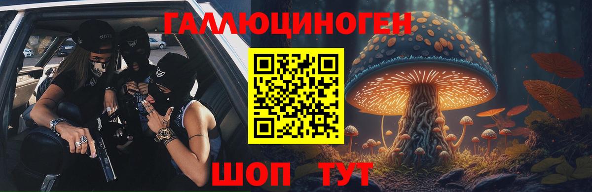 Псилоцибиновые грибы Psilocybine cubensis Копейск